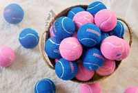 Теннисная игрушка, интерактивный прыгучий мяч, домашний питомец, издает звуки