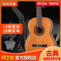 Hangzhou tianxinqin xing martini Одинокая плата в классической гитаре имеет детское пианино 36 -кишколо