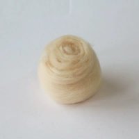207/абрикосовый цвет <40G>