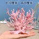 Симуляция коралла № 4 розовый