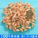 100 желтых рисовых улиток Длина 1,5-2 см