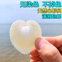 Натуральная раковина Сердце Сердца в форме пары пары боксах моллюско