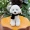 Mô phỏng Teddy Dog Doll Đồ chơi sang trọng VIP Dog Doll Ragdo Dễ thương Gối Quà tặng Cô gái - Đồ chơi mềm