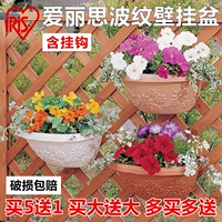 Али ирис проточной пульс