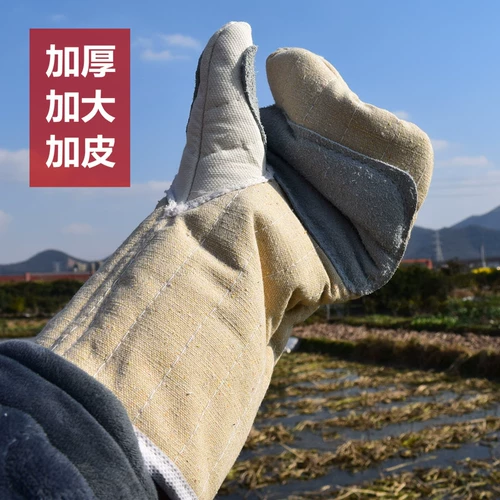 Коммерческие перчатки для духовки, красивые люди, анти -хот -температурная устойчивость высокая температура