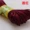 DIY handmade Chất liệu nút thắt dây Trung Quốc Dòng 5 Vòng tay Vòng cổ dệt dây đỏ Hàn Quốc dài 20 mét - Vòng đeo tay Clasp vòng vàng 18k kiểu mới