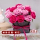 Jiao Yan Rose (Pink) бесплатно от шитья