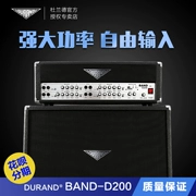 Durand D200 ban nhạc chia loa loa điện guitar loa bass điện hiệu suất diễn tập âm thanh đa chức năng - Loa loa
