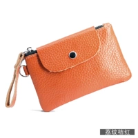 Лито оранжевый красный