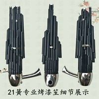 21 Spring Professional Apinet Sheng [вся черная запеченная краска]