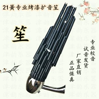 Hongsheng Sheng Музыкальный инструмент Daquan 21 весна популярность Professional Professional