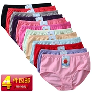 Quần short nữ cao 4 XL M-XXXL mã Sakura 6011