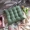 Nhật mềm điểm sóng hồng Meng cô gái sinh viên ký túc xá kẻ sọc đệm ghế văn phòng đệm pad mùa đông dày - Ghế đệm / đệm Sofa mẫu đệm ghế gỗ