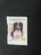 Tem Trung Quốc Đài Loan tem con chó con vật kỷ niệm bộ sưu tập độ trung thực bộ sưu tập tem của hàng hóa