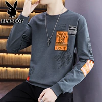 W16 Grey.