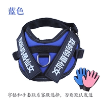 Синие перчатки с поводком, тетрадь