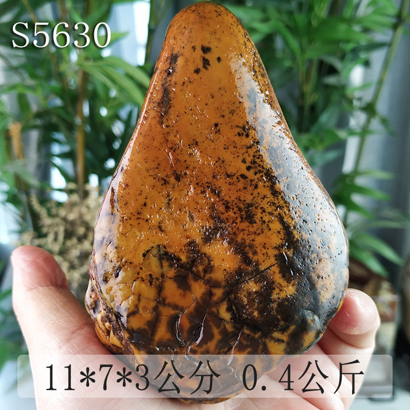 S5630 Prosperous FlameBaoqing SHORTS SNO 22 days however Dawan stone Guangxi specialty Viewing Sketch stone rough  Put the pieces together a move Source of goods