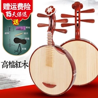 Профессиональные этнические музыкальные инструменты для взрослых, практика, обучение