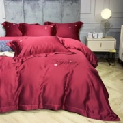 Đám cưới mùa xuân và mùa hè của bốn màu đỏ cao cấp màu đen mượt ngủ nhập khẩu Tiansi Bộ đồ giường cưới đơn giản Bắc Âu - Bộ đồ giường bốn mảnh