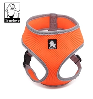 Жизнеспособность оранжевого цвета