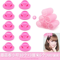 10+3 см и 6 внутренних пряжек грибных рулонов