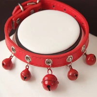 Цвет лотоса