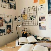 Железное искусство сеть сетка фотостена indic wind girl