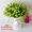 Mô phỏng bó hoa đầy sao nhựa giả hoa bàn trang trí cây trồng trong phòng khách con lắc mở rộng diện tích trang trí kỹ thuật - Hoa nhân tạo / Cây / Trái cây
