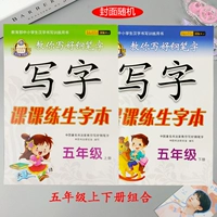 2 книги в пятом классе