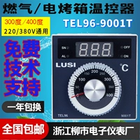 Люси Чжэцзян Лиуши Электронные приборные фабрика TEL96-9001T Газовый электрический орган красный контроллер температуры.