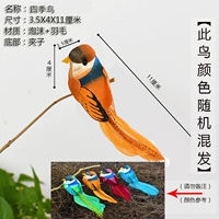 1 птицы четырех сезонов (случайный цвет)