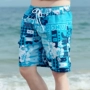 Mùa hè bãi biển quần của nam giới thường phần mỏng quần short hoa nam nhanh khô bơi thân bên bờ biển kỳ nghỉ thời trang lớn ngã ba quần 	quần đi biển giá rẻ	