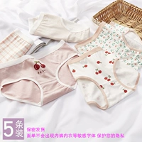 Вишневый цветочный (5 упаковка)