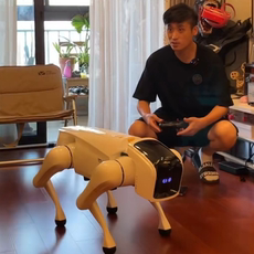 Другие роботы 会长八戒痞幼同款机器人网红电子狗机械犬阿尔法智能机器狗大战