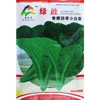 Зеленый сладкий зеленый стебель маленькая капуста/100G [нет заусенца]