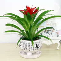 Удачи [Baifu Medium]