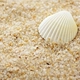 5 Catties Crystal Sand Толстый 3-4 мм