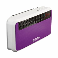 E50 Purple (повторяется+запись+Bluetooth+время)