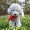 Teddy dog ​​đồ chơi sang trọng hình con chó mô phỏng linh cẩu hơn gấu búp bê cô gái quà tặng trẻ em - Đồ chơi mềm