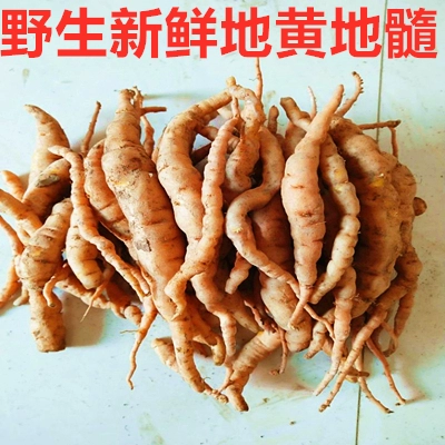 Jiaozuo Noye Fresh Sumi Dihuang Тест, произведенный в Huanggan Land Marrow Marical Meating Meating Huaiqingfu Семя