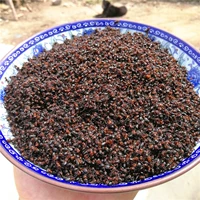 Северо -восточный Dahong Ant Fresh и чистый