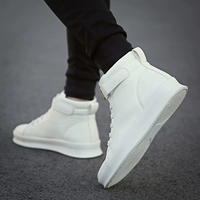 Giày cao gót màu trắng Giày trắng phiên bản Hàn Quốc của xu hướng giới trẻ hoang dã Giày nam giản dị tăng trong mùa thu thoáng khí giày thể thao nam nike