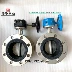 Tùy chỉnh 
            D341X-10/16P phòng bơm mềm mại đặc biệt cói thép không gỉ mặt bích van bướm tuabin mặt bích đôi cao su lót van bướm ttue602dn due126ue Van bướm