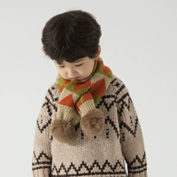 【2004】 -ГРИН и Оранжевая модель волосатого мяча