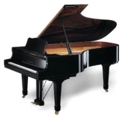 Trường sân khấu piano trong nước mới với mô hình đàn piano lớn mô hình 231 ánh sáng đen