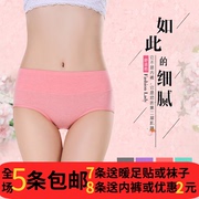 Bốn mùa kích thước lớn bông giữa- eo tummy hip đa màu đa màu sắc đồ lót của phụ nữ phụ nữ tam giác đồ lót bán buôn