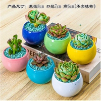 Маленький шариковый цветочный горшок, набор из 6 предметов.