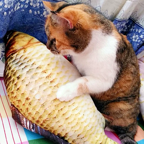 Мятные рыбки, подушка, игрушка, кот, домашний питомец, можно грызть, карп