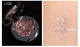 Juduo Orange Monochrom Eye Shadow Flash Pearl Không thấm nước Sequins Dish Sand Potatoes Juduoll Big Earth Color G44 phấn má dior