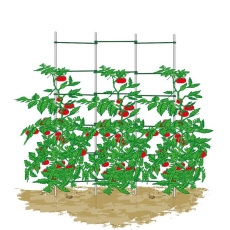 Инвентарь для сада 包邮辣椒番茄支架茄子黄瓜植物攀爬架月季铁线莲牵牛花藤架花支柱 Habitat Division